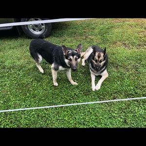 Meet your Posher, Jaclyn